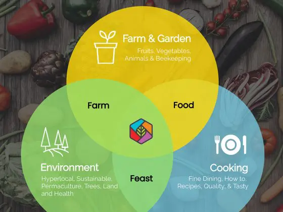 Farm Food Feast Venn Diagram